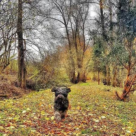 펜션 An Der Brettach